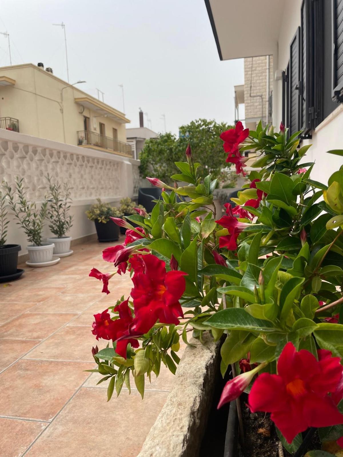 Rosa Dei Venti Villa Polignano a Mare Eksteriør bilde
